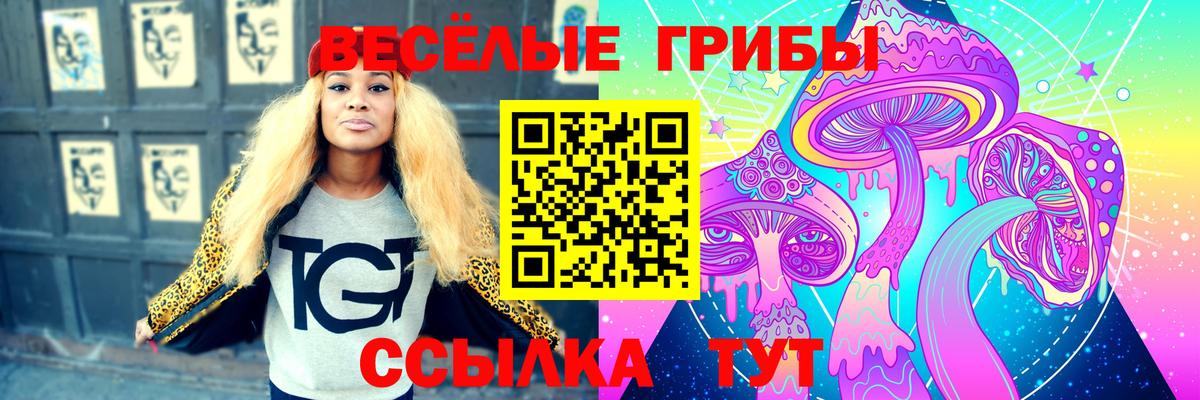 Галлюциногенные грибы мухоморы  Вход с VPN  Галлюциногенные грибы Magic Shrooms  купить наркотик  Балашиха 